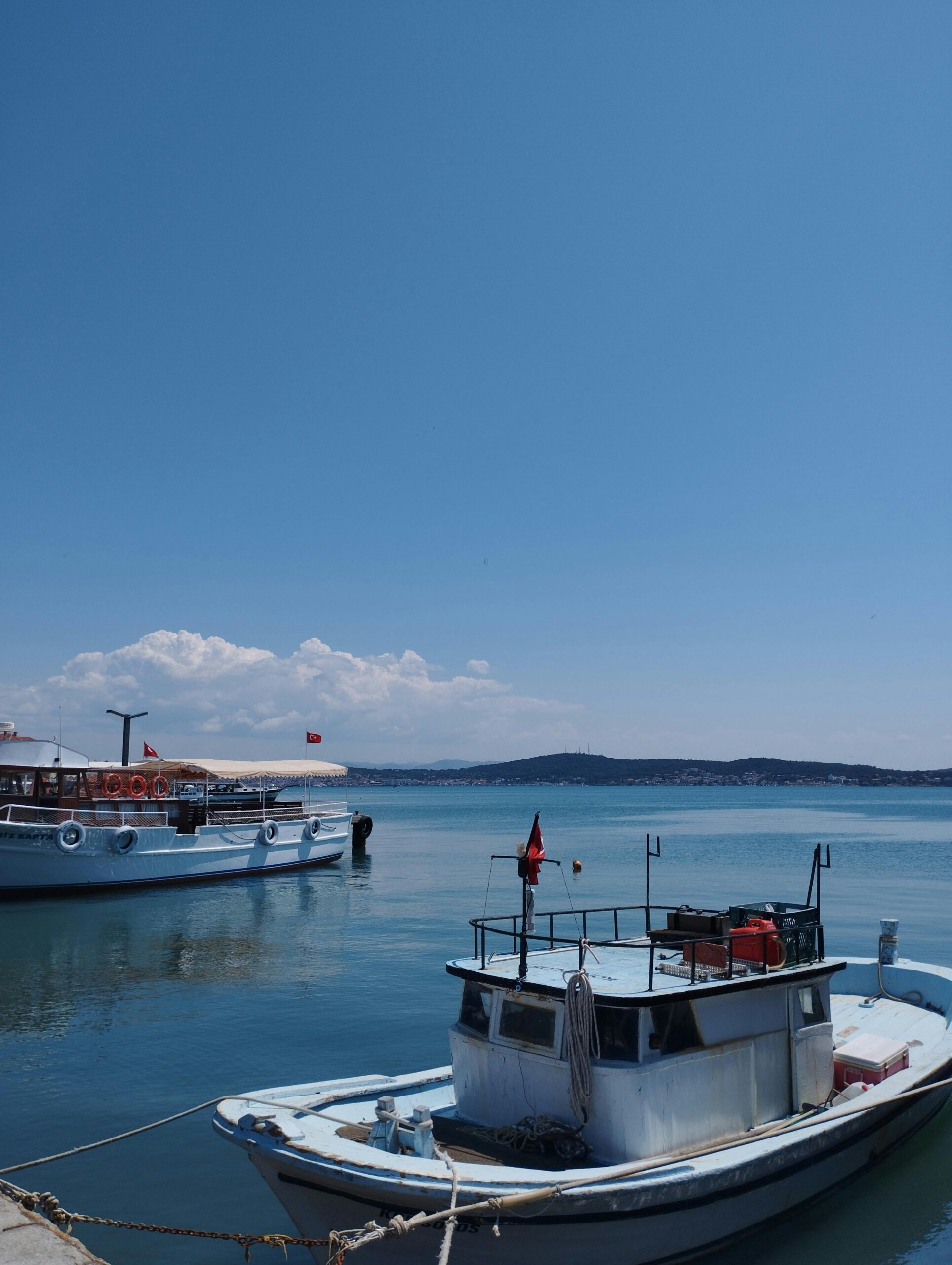 Dive Ladders For Boats