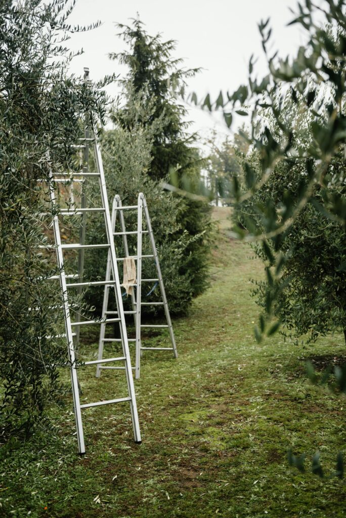What Are The 3 Types Of Ladders Of OSHA In The USA